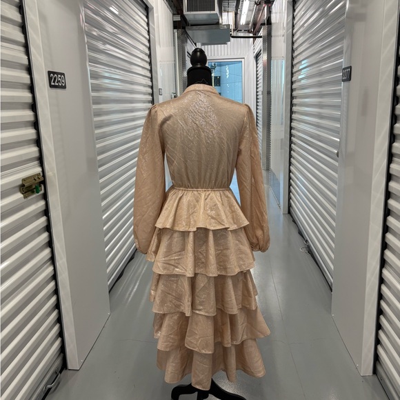 Mazik Tan Blush Pink Gold Ruffled Tiered Gown with Mandarin Collar - Picture 15 of 15